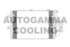 AUTOGAMMA 102738 Condenser, air conditioning